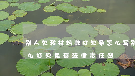 别人欠我材料款打欠条怎么写(别人欠我钱怎么打欠条有法律责任图)
