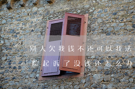 别人欠我钱不还可以我法院吗(欠了别人钱法院起诉了没钱还怎么办)
