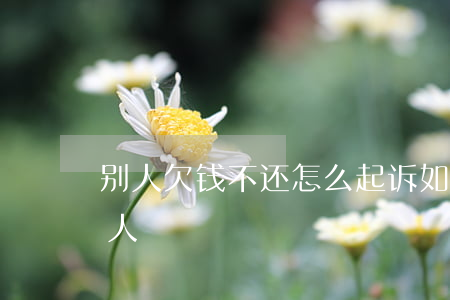 别人欠钱不还怎么起诉(如何起诉欠钱不还的人)