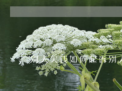 别人欠钱如何起诉(别人欠钱 怎么起诉)