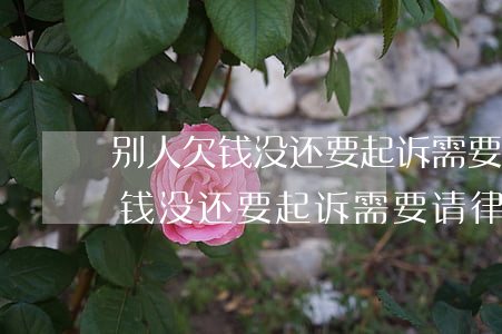 别人欠钱没还要起诉需要请律师吗-别人欠钱没还要起诉需要请律师吗