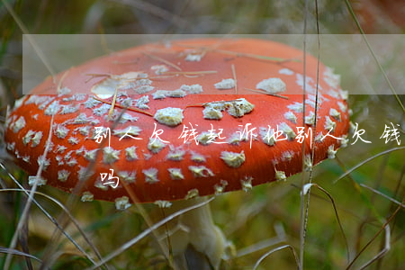别人欠钱起诉他(别人欠钱起诉他需要去法院吗)