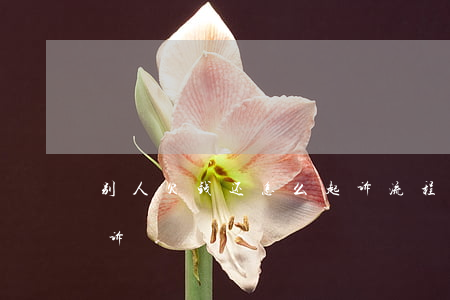 别人欠钱还怎么起诉流程(别人欠钱怎么去起诉)