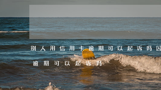 别人用信用卡逾期可以起诉吗（因他人导致的逾期可以起诉吗）