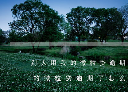 别人用我的微粒贷逾期了怎么办-别人用我的微粒贷逾期了怎么办呢