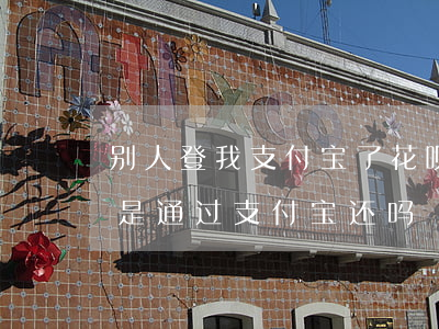 别人登我支付宝了花呗逾期谁还(逾期还花呗是通过支付宝还吗)