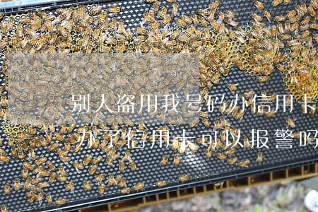 别人盗用我号码办信用卡逾期-别人冒充我办了信用卡可以报警吗