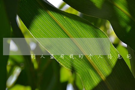 别人盗用我的个人信息犯罪吗
