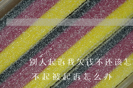 别人起诉我欠钱不还该怎样应对(欠别人钱还不起被起诉怎么办)
