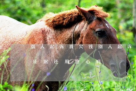 别人起诉我欠钱(别人起诉我欠钱我有还清的证据还用担心吗)