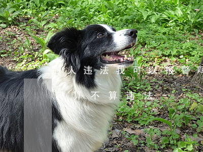 别人违法我可以报警吗(有人威胁我可以报警吗算不算违法)