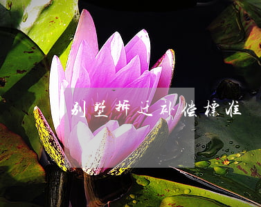 别墅拆迁补偿标准
