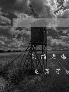 刮蹭逃逸私了一般赔多少钱(剐蹭后逃逸怎么处罚可以私了吗)