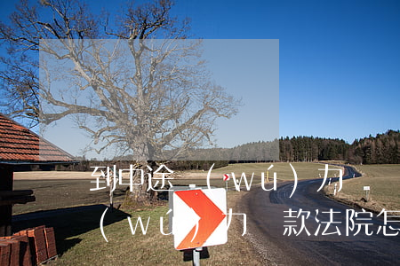 到中途無(wú)力償還(暫時(shí)無(wú)力還款法院怎么處理)