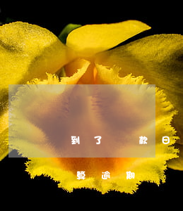 到了還款日屬于逾期嗎-到還款日還款算不算逾期