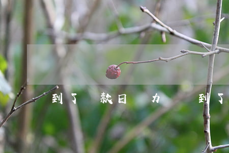 到了還款日無力償還(到了還款日期還不還錢)
