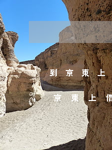 到京東上借錢(qián)逾期了怎么辦(到京東上借錢(qián)逾期了怎么辦)