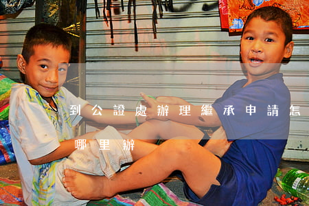 到公證處辦理繼承申請怎么寫(繼承公證書去哪里辦)