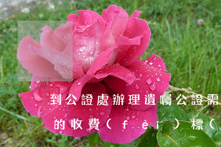 到公證處辦理遺囑公證需要多少錢(公證遺囑的收費(fèi)標(biāo)準(zhǔn))