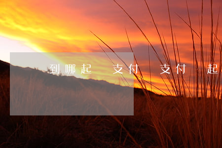 到哪起訴支付寶 支付寶起訴有用嗎