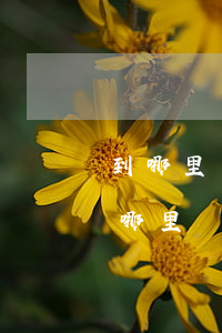 到哪里可以申請法律援助嗎(需要法律援助去哪里)