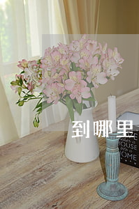 到哪里申請停息掛賬(停息掛賬怎樣申請)