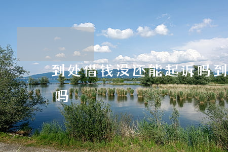 到处借钱没还能起诉吗(到处借钱没还能起诉吗)