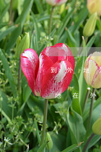 到外地法院起訴人不去可以嗎(起訴人不在本地在外地怎么起訴)