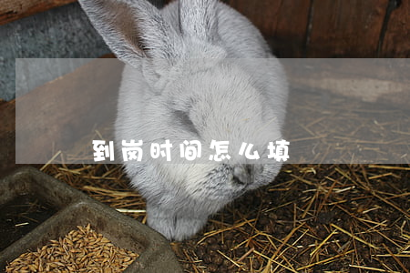 到岗时间怎么填