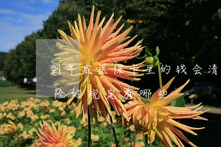 到年底医保卡里的钱会清零吗（对基本医疗保险的规定有哪些）