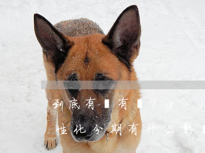 到底有沒有個(gè)性化分期(個(gè)性化分期有什么影響)