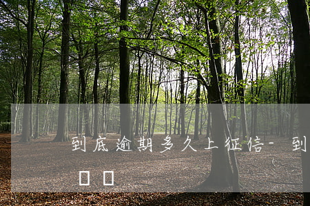 到底逾期多久上征信-到底逾期多久上征信記錄