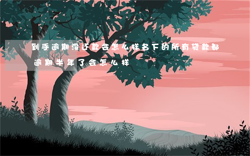到手逾期没还款会怎么样(名下的所有贷款都逾期半年了会怎么样)