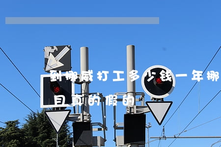 到挪威打工多少钱一年(挪威打工3万5一个月真的假的)