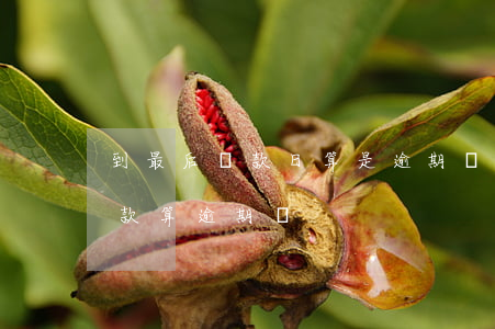 到最后還款日算是逾期嗎(還款日最后一天還款算逾期嗎)