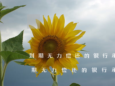 到期无力偿还的银行承兑汇票怎么处理-到期无力偿还的银行承兑汇票怎么处理