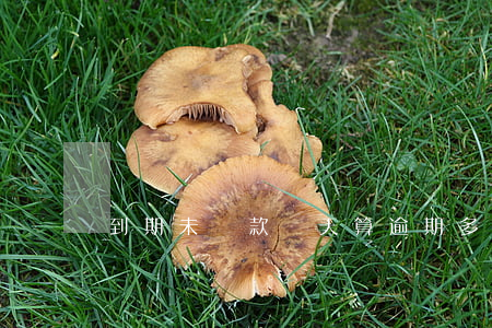 到期未還款幾天算逾期(多久不還算逾期)