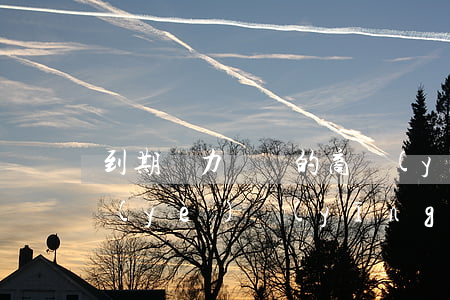 到期無力償還的商業(yè)承兌匯票,企業(yè)應(yīng)當(dāng)-到期無力償還的銀行承兌匯票,企業(yè)應(yīng)當(dāng)