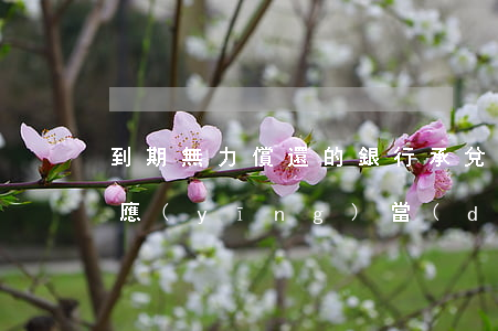到期無力償還的銀行承兌匯票企業(yè)應(yīng)當(dāng)-到期無力償還的銀行承兌匯票,需轉(zhuǎn)入短期借款核算