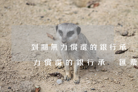 到期無力償還的銀行承兌匯票分錄-到期無力償還的銀行承兌匯票分錄怎么寫