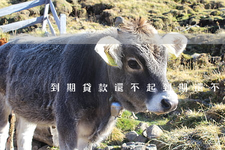 到期貸款還不起(到期還不上貸款怎么辦)