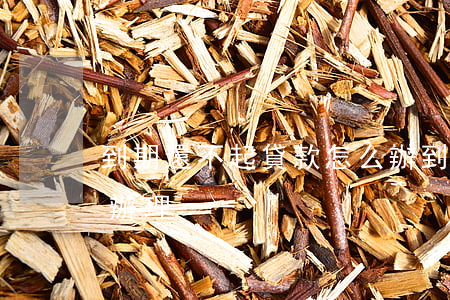 到期還不起貸款怎么辦(到期還不起貸款怎么辦理)