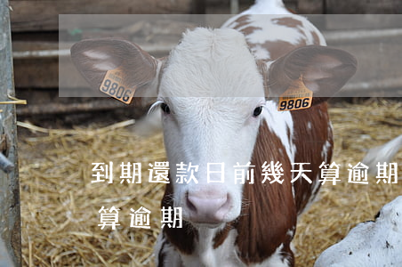 到期還款日前幾天算逾期(到期還款日前幾天算逾期)