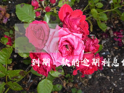 到期還款的逾期利息(借款到期后的逾期利息)