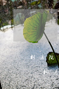 到法院可以直接申請立案調(diào)解嗎(到法院可以直接申請立案調(diào)解嗎)