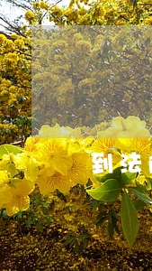 到法院告朋友不還信用卡(信用卡不還被起訴)
