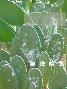 到法院怎么起訴借錢(怎么向法院起訴欠款)
