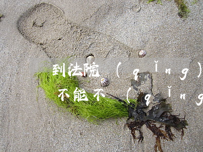 到法院請(qǐng)律師可以嗎(打官司能不能不請(qǐng)律師)