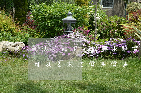 到法院起訴可以要求賠償嗎償嗎(到法院起訴可以要求賠償嗎償嗎)