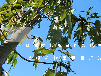 到法院起訴可以起訴其非法侵占嗎(侵占罪可以提起附帶民事訴訟嗎)